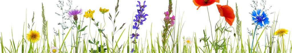 Küchenrückwand - Blumenwiese