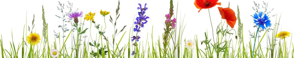 Küchenrückwand - Blumenwiese