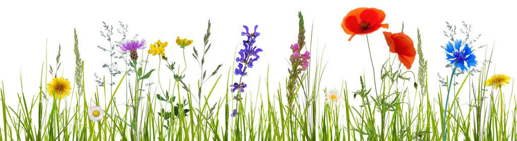 Küchenrückwand - Blumenwiese