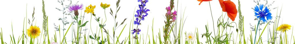 Küchenrückwand - Blumenwiese