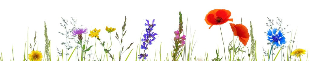 Küchenrückwand - Blumenwiese