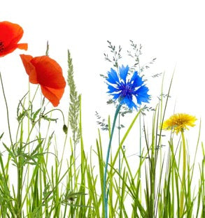 Küchenrückwand - Blumenwiese