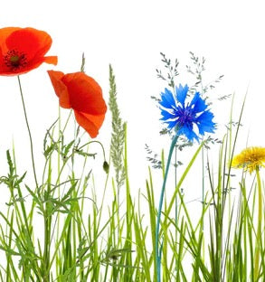 Küchenrückwand - Blumenwiese