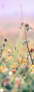 Küchenrückwand - Schöne Wiese