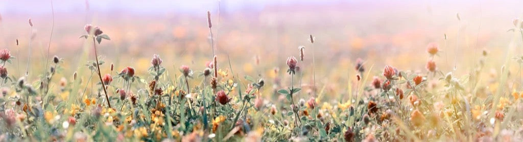 Küchenrückwand - Schöne Wiese