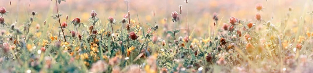 Küchenrückwand - Schöne Wiese