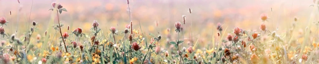 Küchenrückwand - Schöne Wiese