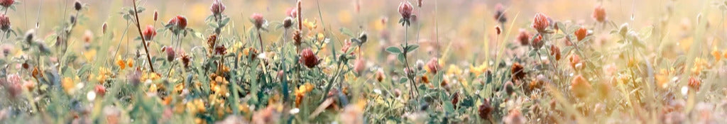 Küchenrückwand - Schöne Wiese