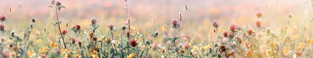 Küchenrückwand - Schöne Wiese