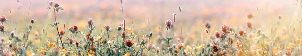 Küchenrückwand - Schöne Wiese