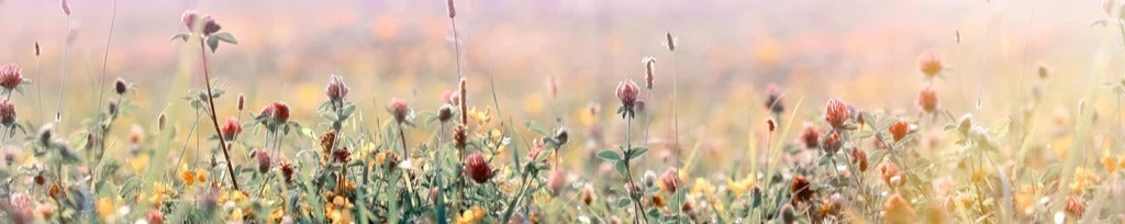 Küchenrückwand - Schöne Wiese