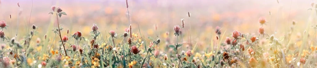 Küchenrückwand - Schöne Wiese