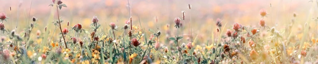 Küchenrückwand - Schöne Wiese