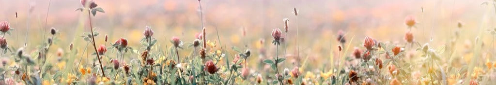 Küchenrückwand - Schöne Wiese