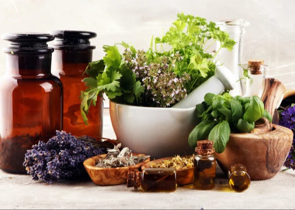 Küchenrückwand - Kräuter- & Aromatherapie