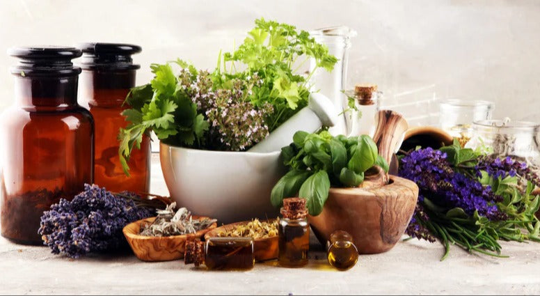 Küchenrückwand - Kräuter- & Aromatherapie