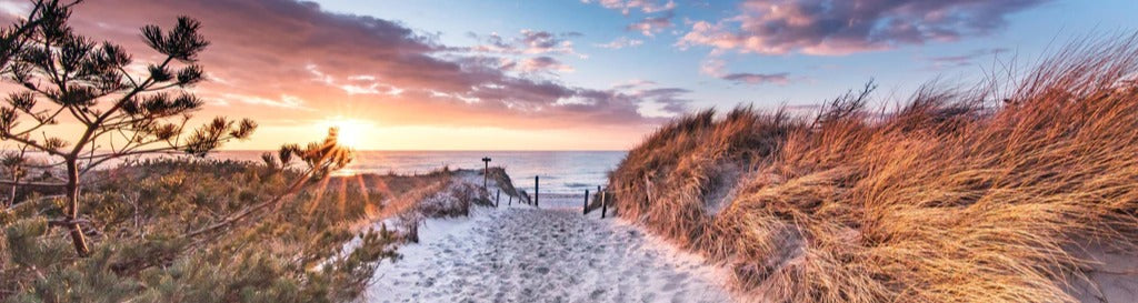 Küchenrückwand - Romantischer Sandweg zum Strand