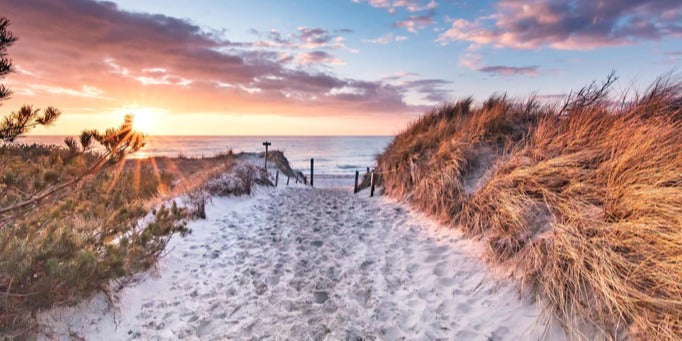 Küchenrückwand - Romantischer Sandweg zum Strand