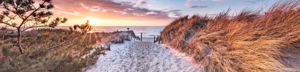 Küchenrückwand - Romantischer Sandweg zum Strand
