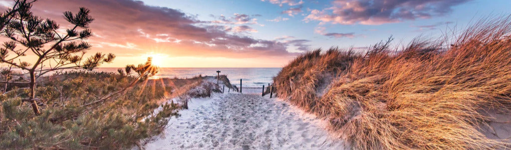 Küchenrückwand - Romantischer Sandweg zum Strand
