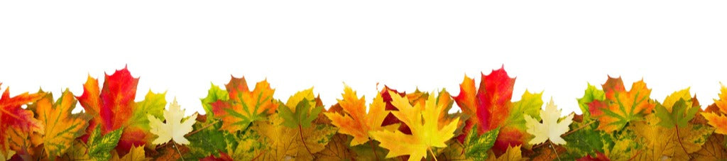 Küchenrückwand - Herbst Laub