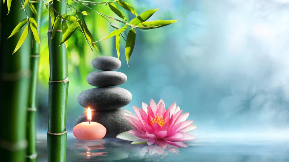 Küchenrückwand - Entspannung mit Lotus & Bambus