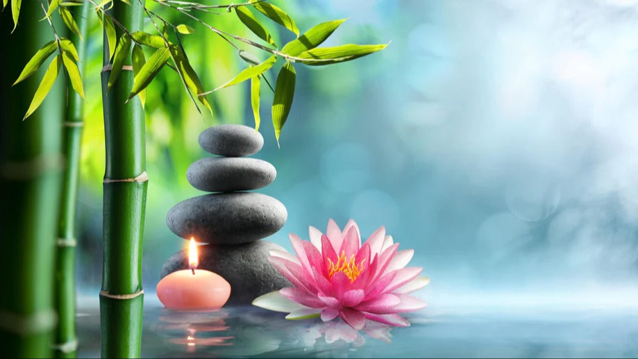 Küchenrückwand - Entspannung mit Lotus & Bambus