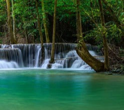 Küchenrückwand - Wasserfall tief im tropischen Wald