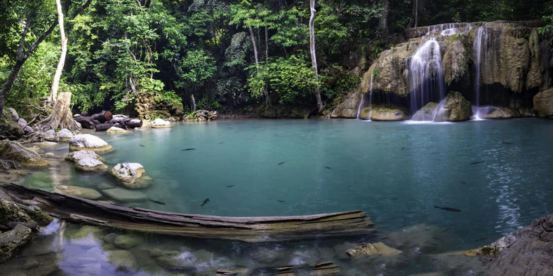 Küchenrückwand - Erawan-Wasserfall im tropischen Dschungel Surrou