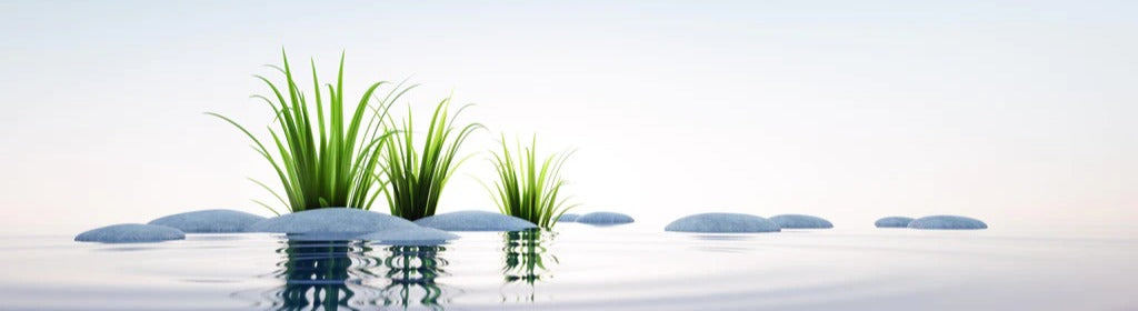 Küchenrückwand - Steine und Gras im See Querformat