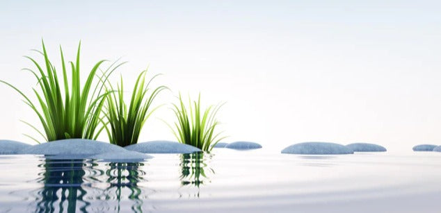 Küchenrückwand - Steine und Gras im See Querformat