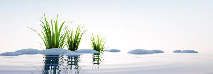 Küchenrückwand - Steine und Gras im See Querformat