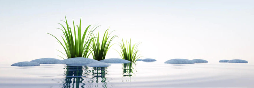 Küchenrückwand - Steine und Gras im See Querformat