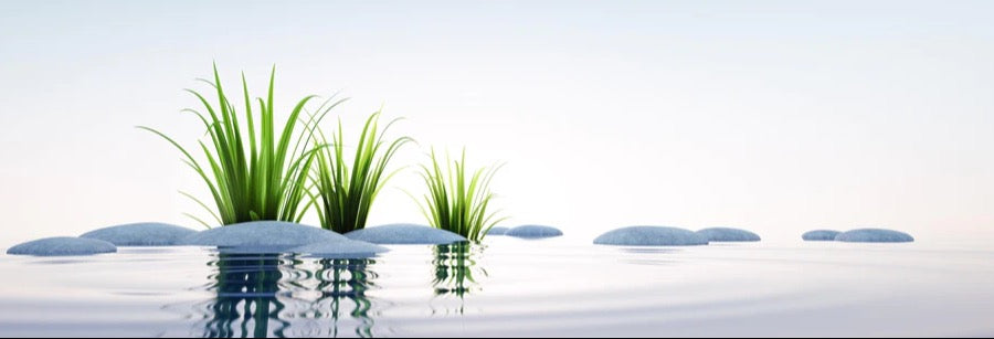 Küchenrückwand - Steine und Gras im See Querformat