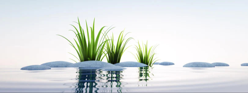 Küchenrückwand - Steine und Gras im See Querformat