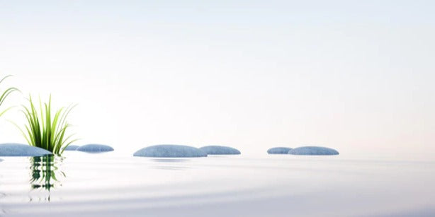 Küchenrückwand - Steine und Gras im See Querformat
