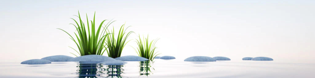 Küchenrückwand - Steine und Gras im See Querformat