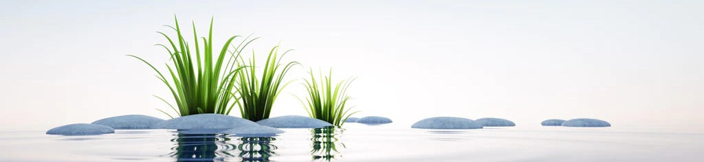 Küchenrückwand - Steine und Gras im See Querformat