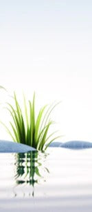 Küchenrückwand - Steine und Gras im See Querformat