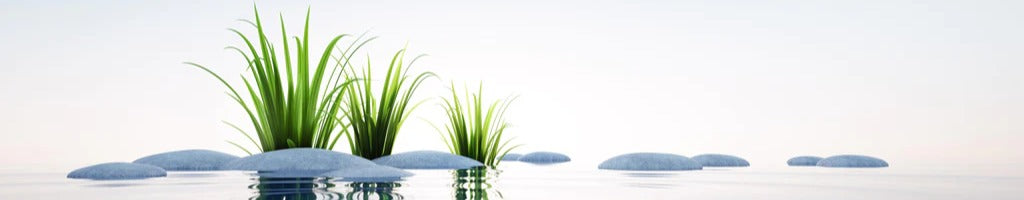 Küchenrückwand - Steine und Gras im See Querformat