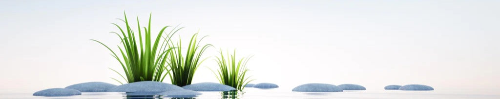 Küchenrückwand - Steine und Gras im See Querformat