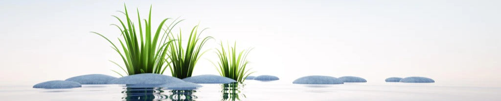 Küchenrückwand - Steine und Gras im See Querformat