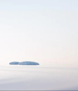 Küchenrückwand - Steine und Gras im See Querformat