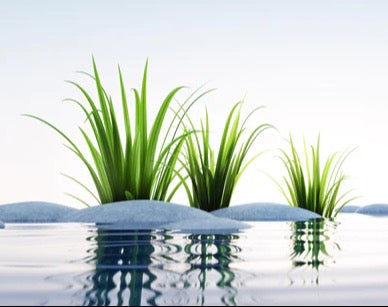 Küchenrückwand - Steine und Gras im See Querformat