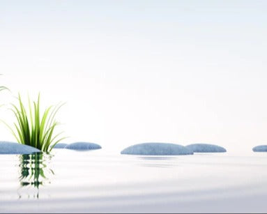 Küchenrückwand - Steine und Gras im See Querformat