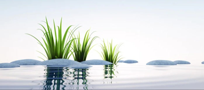 Küchenrückwand - Steine und Gras im See Querformat