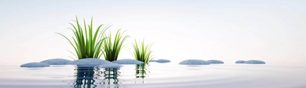 Küchenrückwand - Steine und Gras im See Querformat