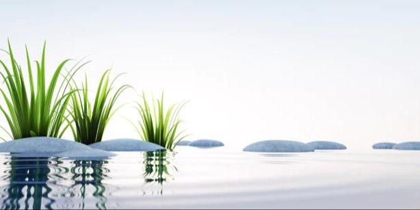 Küchenrückwand - Steine und Gras im See Querformat