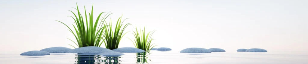 Küchenrückwand - Steine und Gras im See Querformat