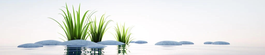 Küchenrückwand - Steine und Gras im See Querformat